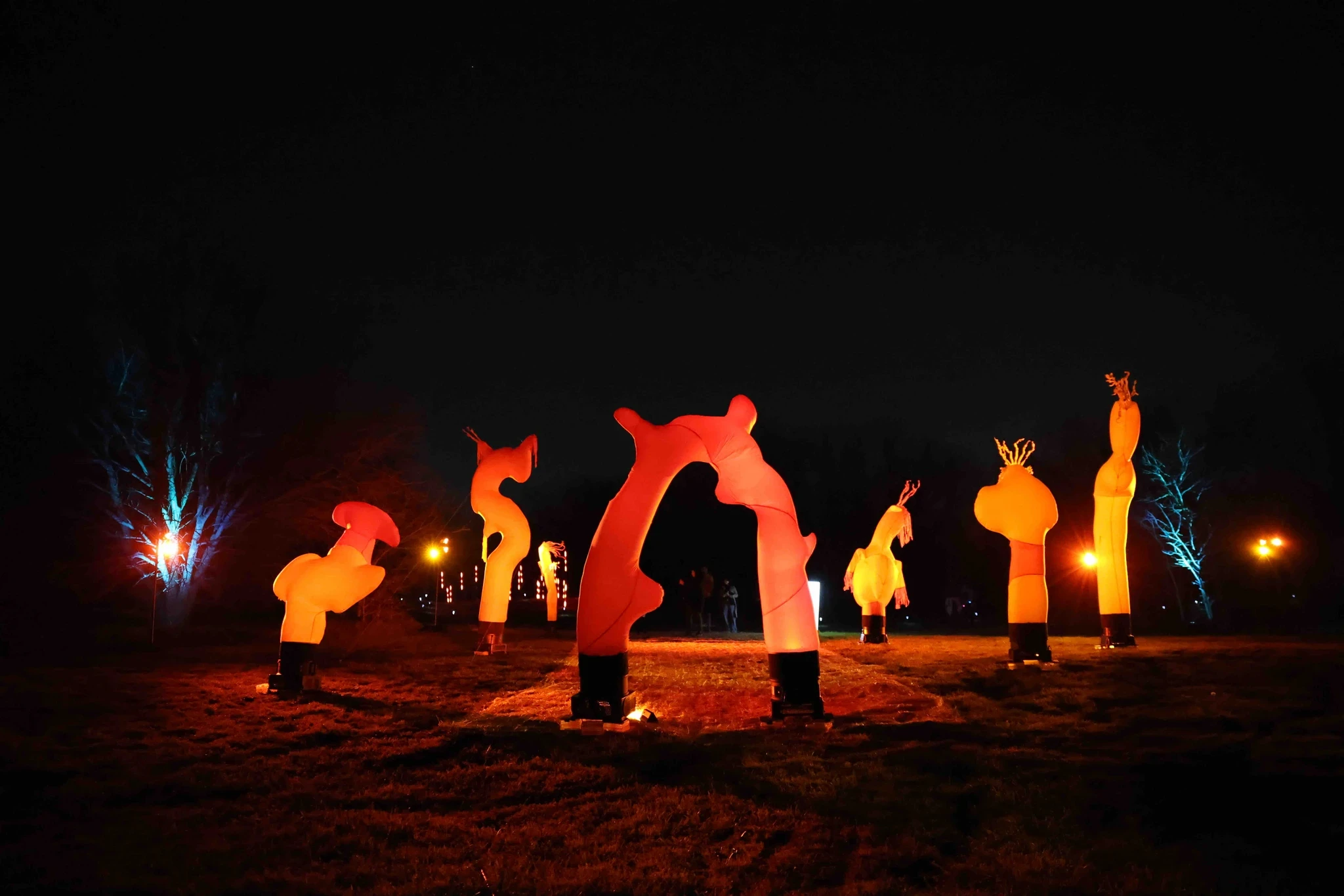Colorful illuminated sculptures in a dark outdoor setting, creating a vibrant nighttime atmosphere.