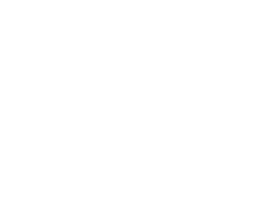 Southwest logo
