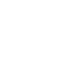 Mobile scan Icon