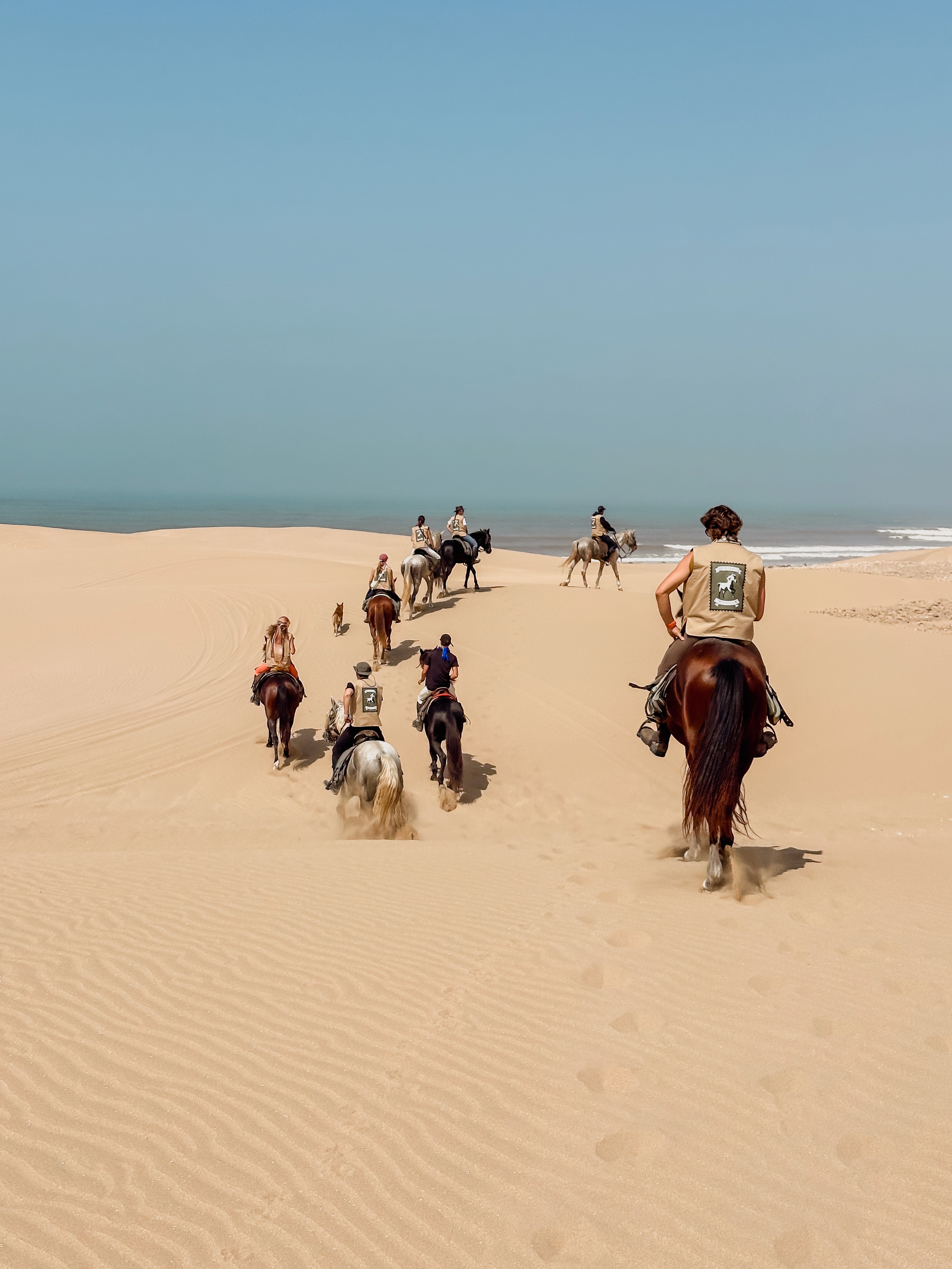 Horse Riding