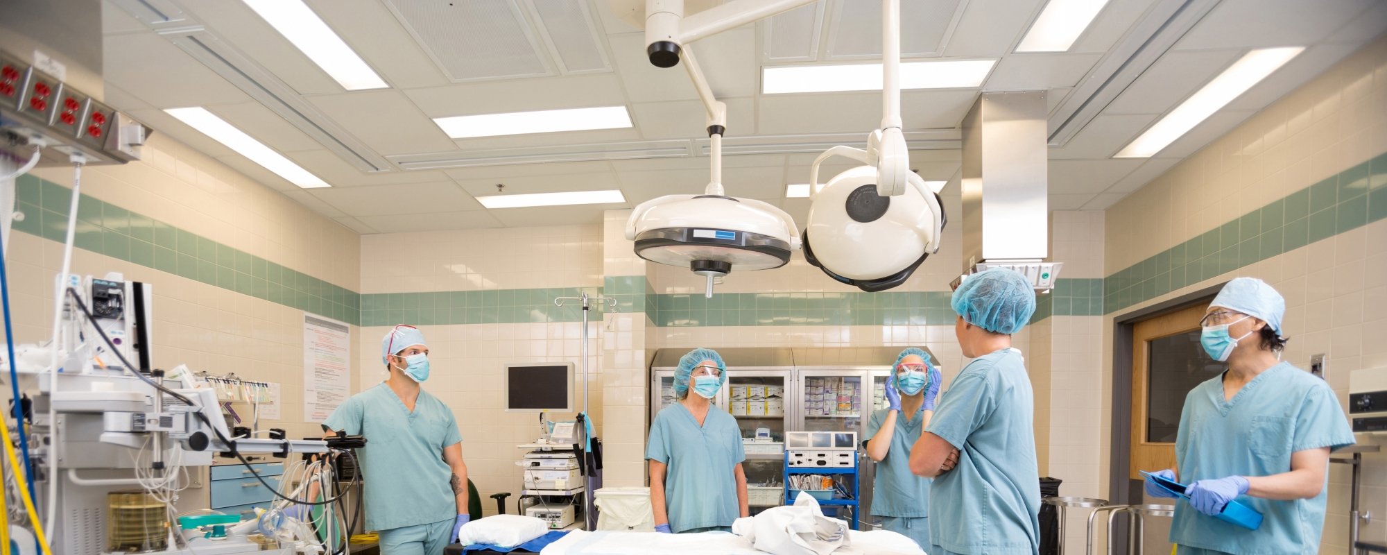 Modern glass and steel building with warm wooden ceilings, surrounded by lush greenery, blending contemporary architecture with nature.