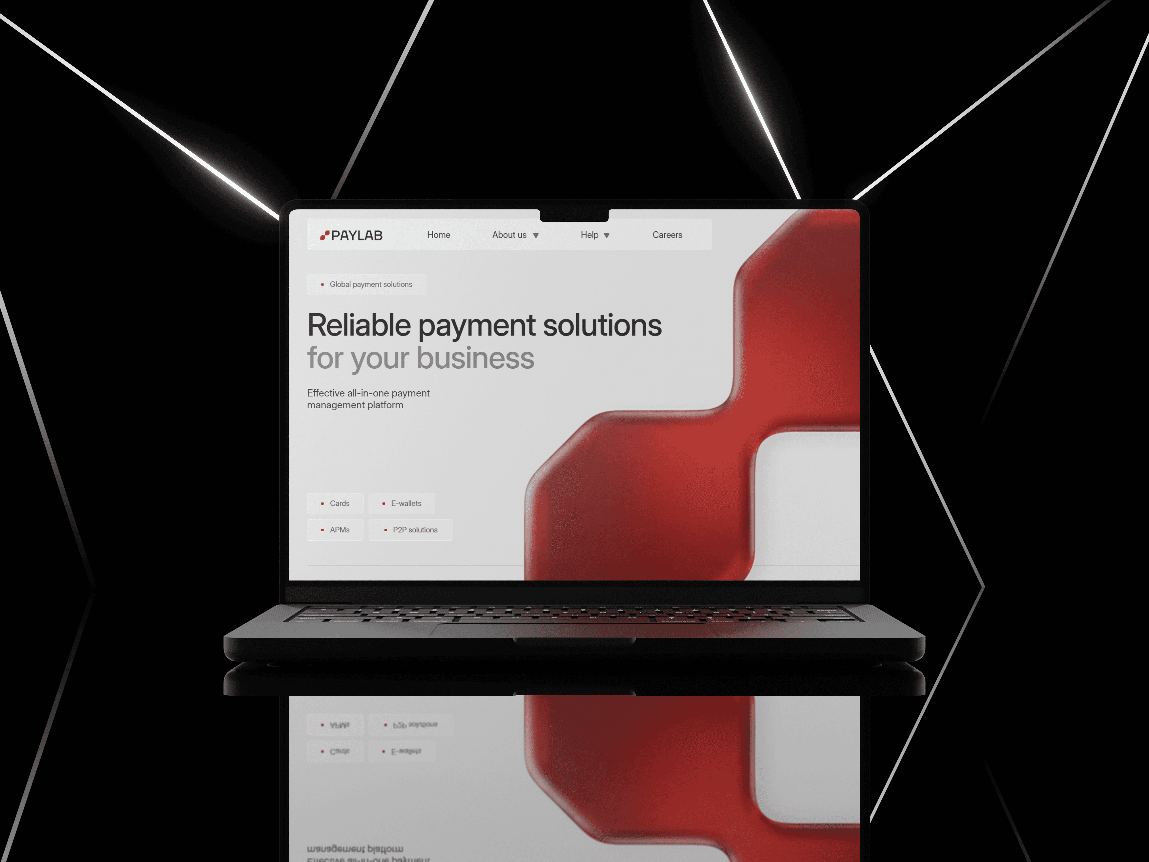 Image of a website for Paylab