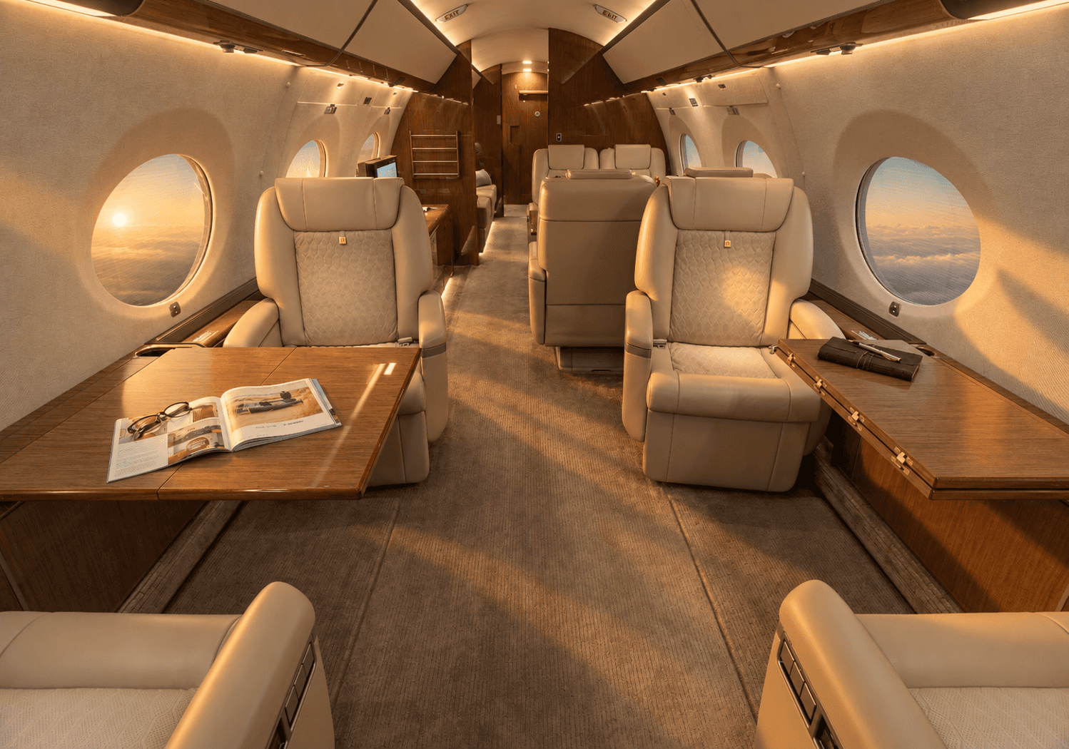tan leather jet interior
