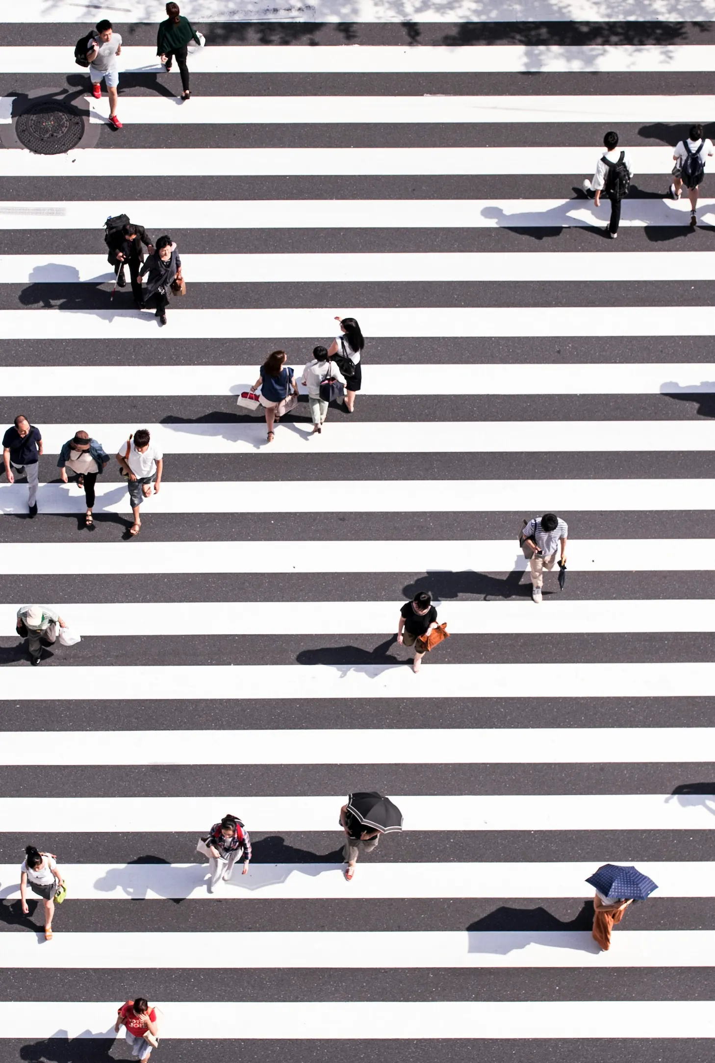 Zebra crossing people, top down shot