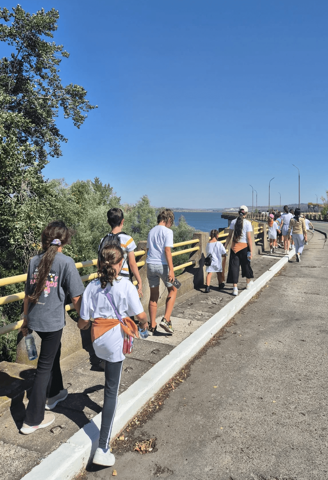 A close-up of dark, black roses with soft petals, creating an elegant and moody floral arrangement.
