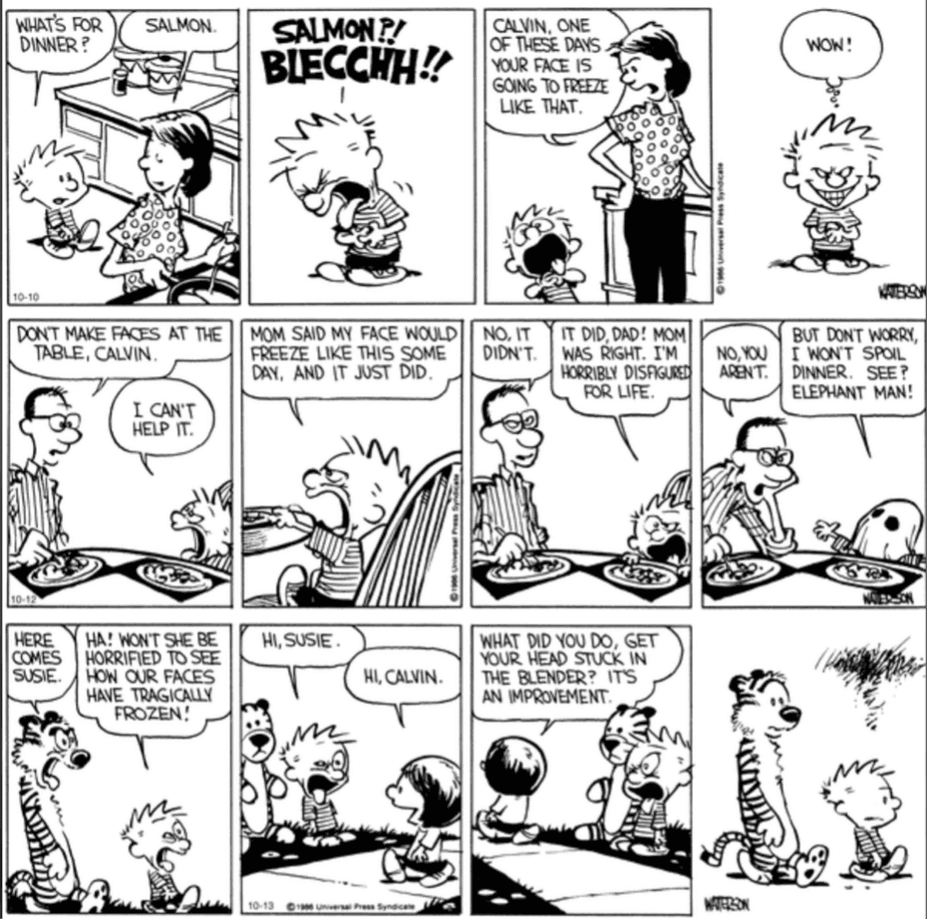 Source: Calvin & Hobbes by Bill Watterson