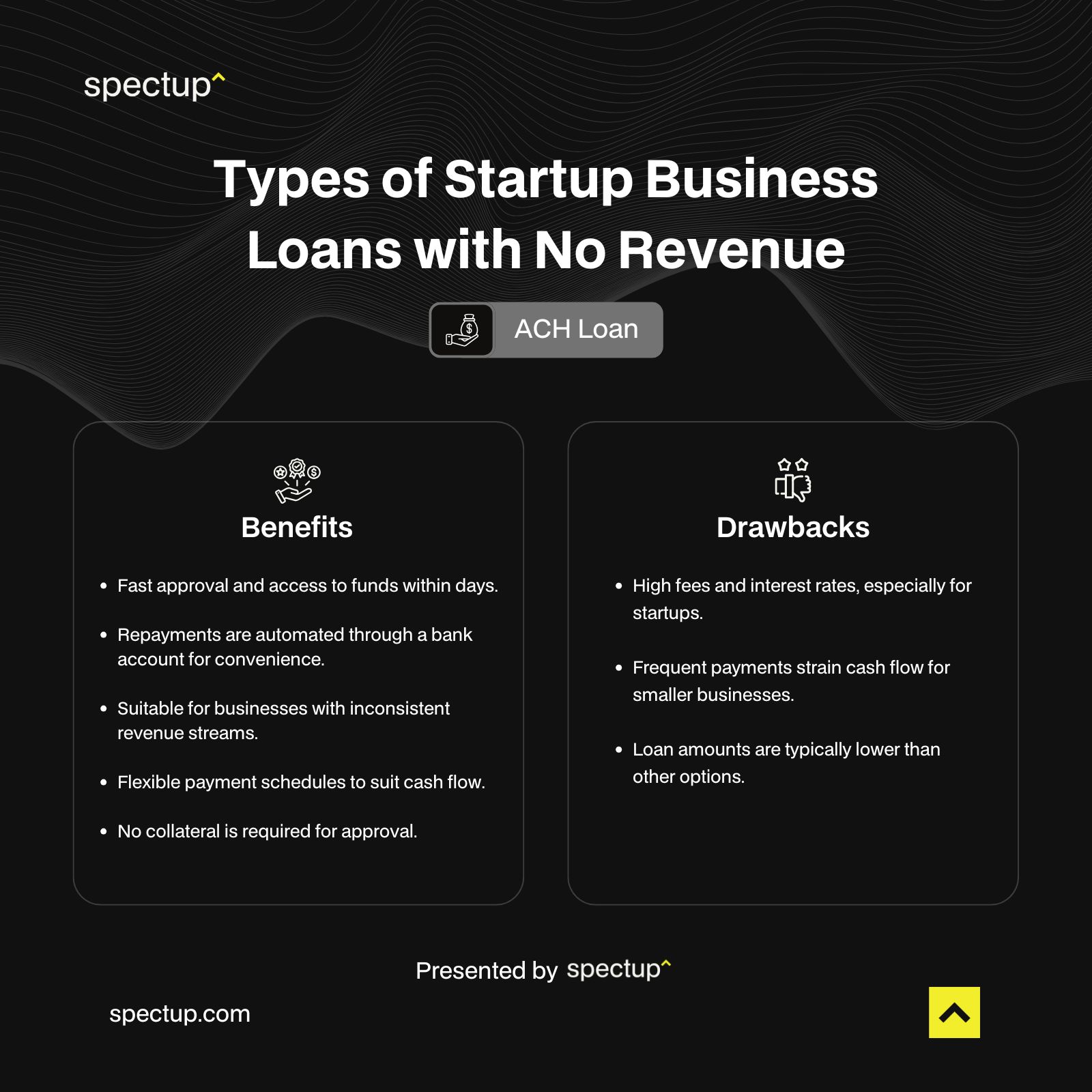 Types of Startup Business Loans with No Revenue - ACH Loans