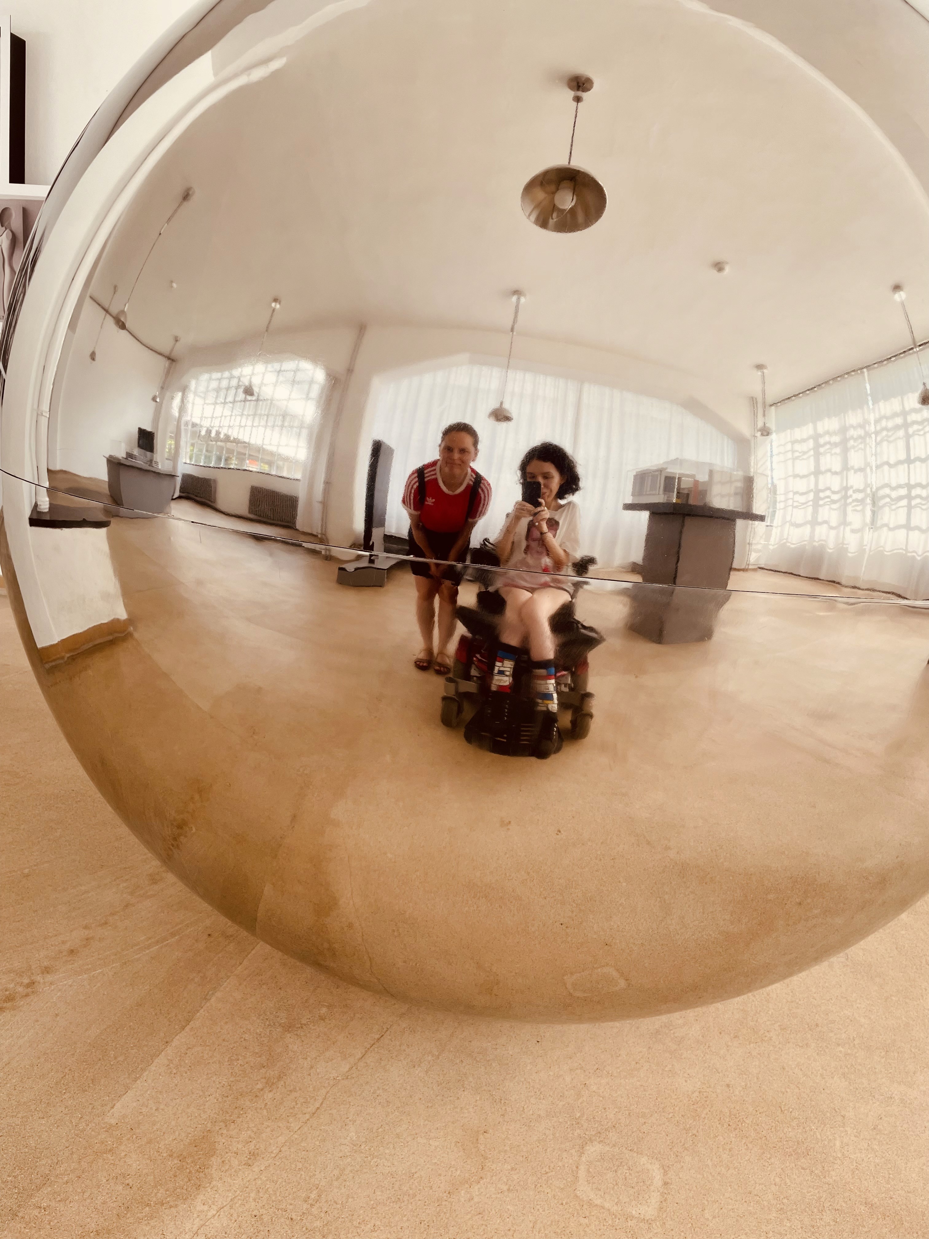 long-coated black and white dog during daytime