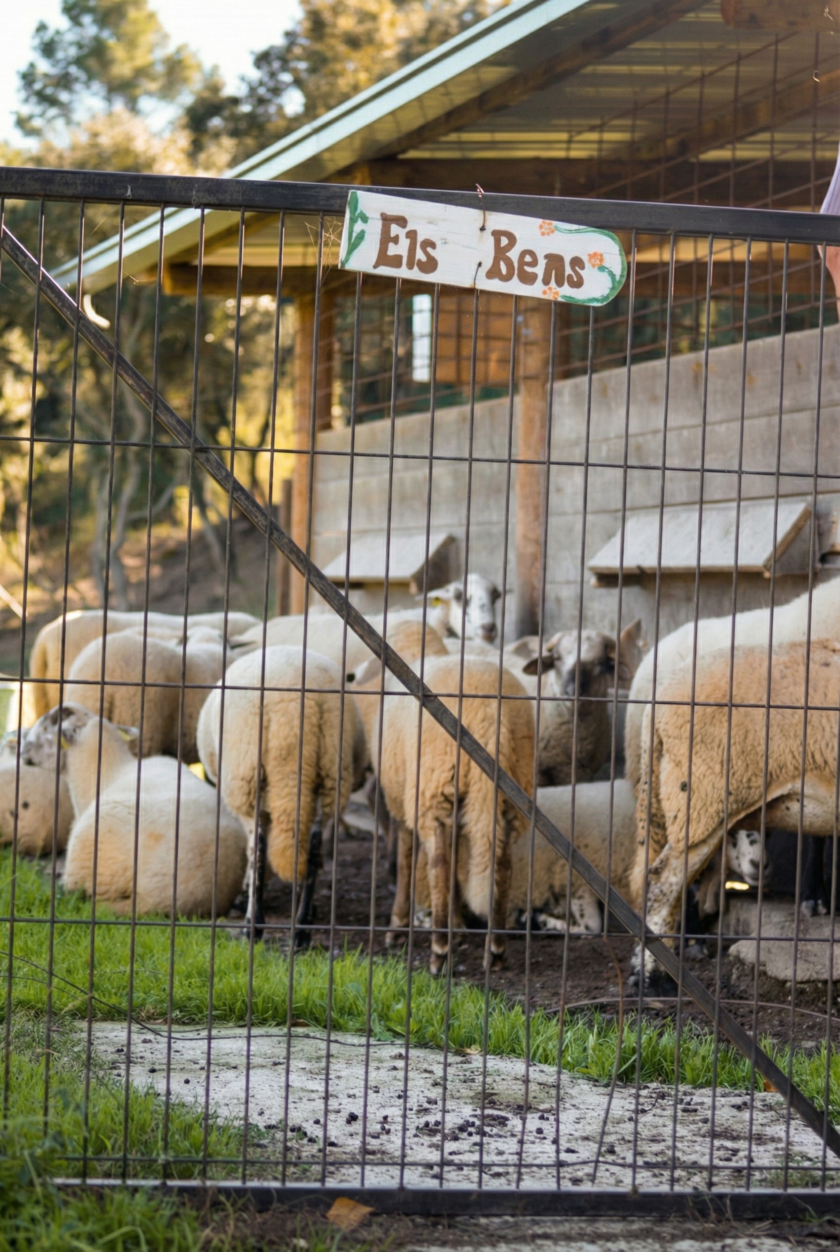 Kitchen installation