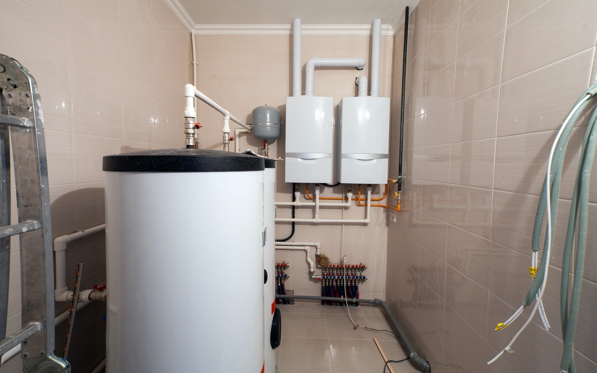 Close-up of a tree stump showing growth rings and a textured brown wood surface.