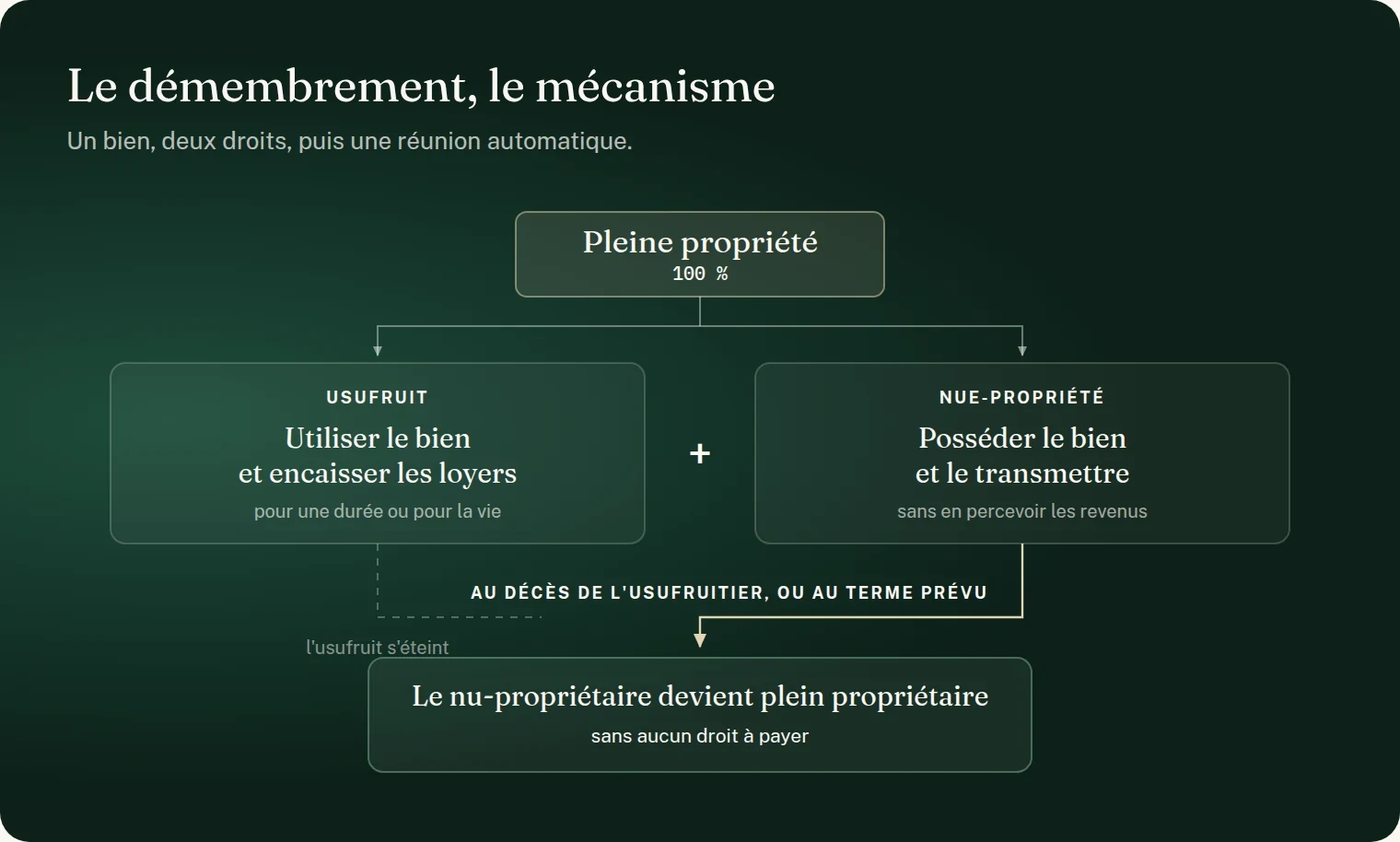 Schéma : le mécanisme du démembrement. La pleine propriété, 100 %, se divise en usufruit, le droit d'utiliser le bien et d'encaisser les loyers pour une durée ou pour la vie, et en nue-propriété, le droit de posséder le bien et de le transmettre sans en percevoir les revenus. Au décès de l'usufruitier ou au terme prévu, l'usufruit s'éteint et le nu-propriétaire devient plein propriétaire sans aucun droit à payer.