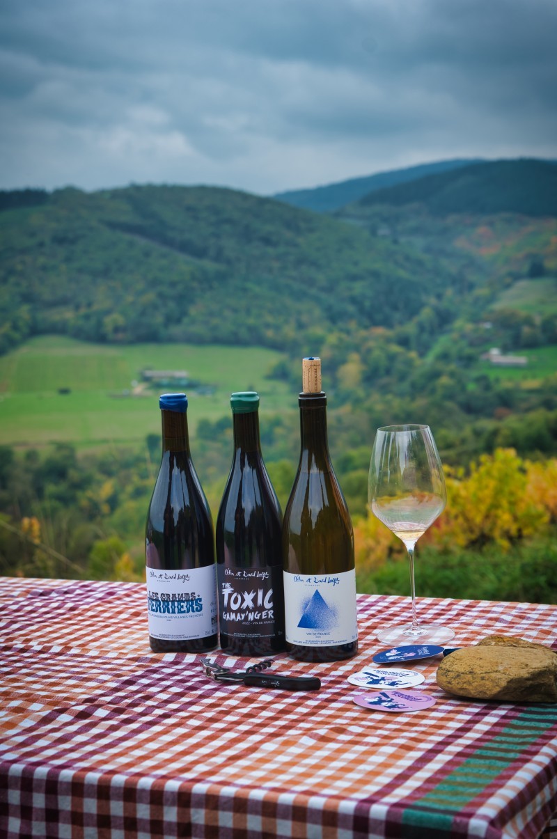 Dégustation de trois cuvées du Domaine Large dans le Beaujolais