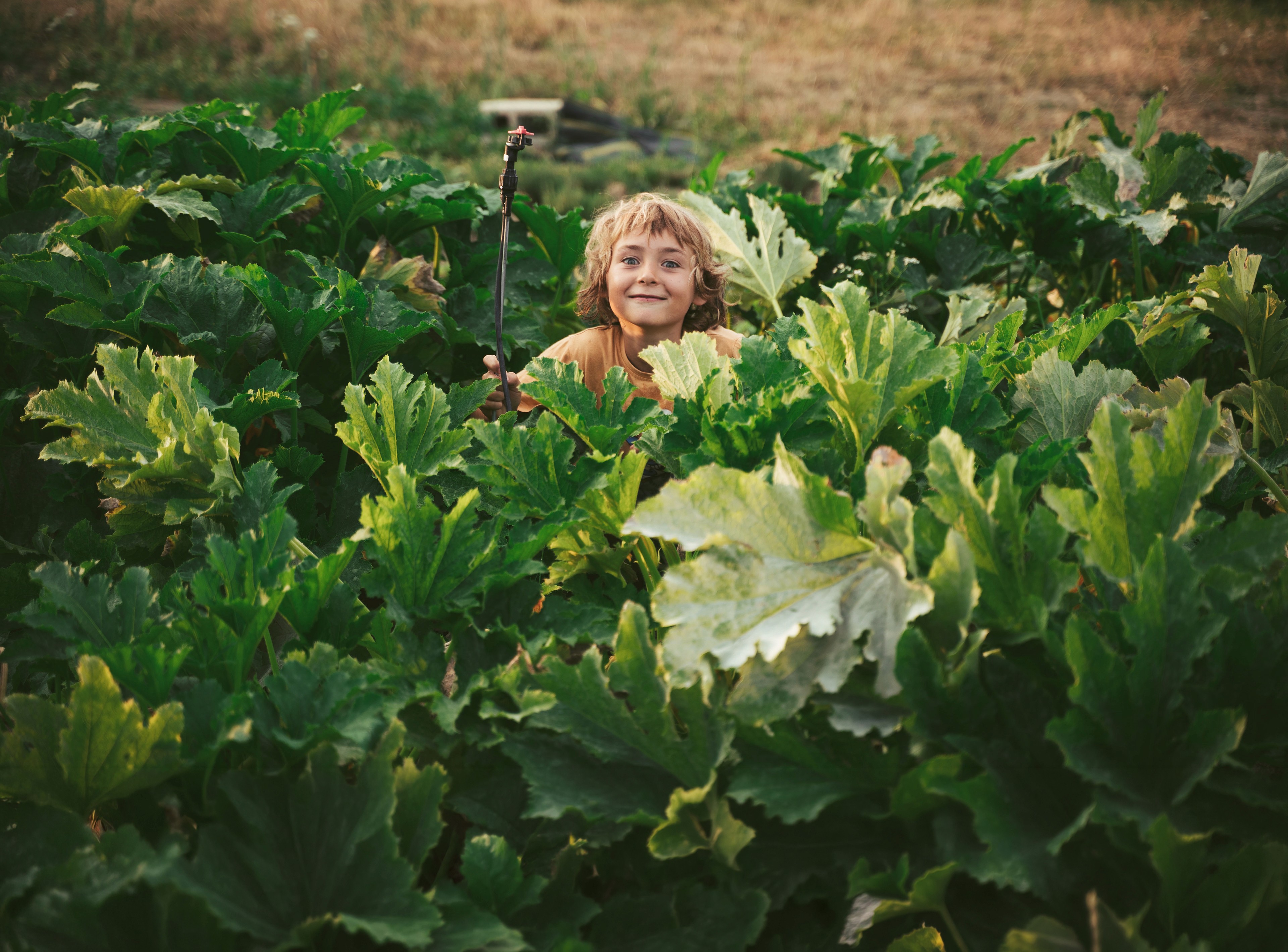 black and gray camera tripod