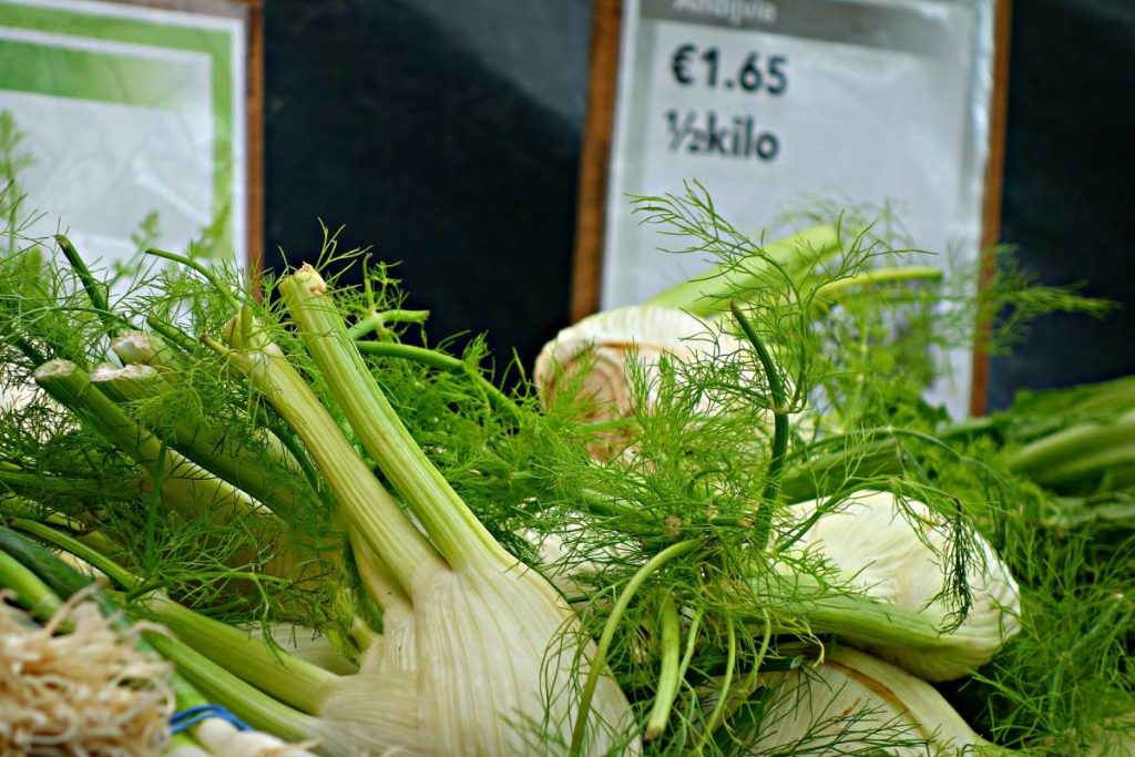 Varietà di finocchio