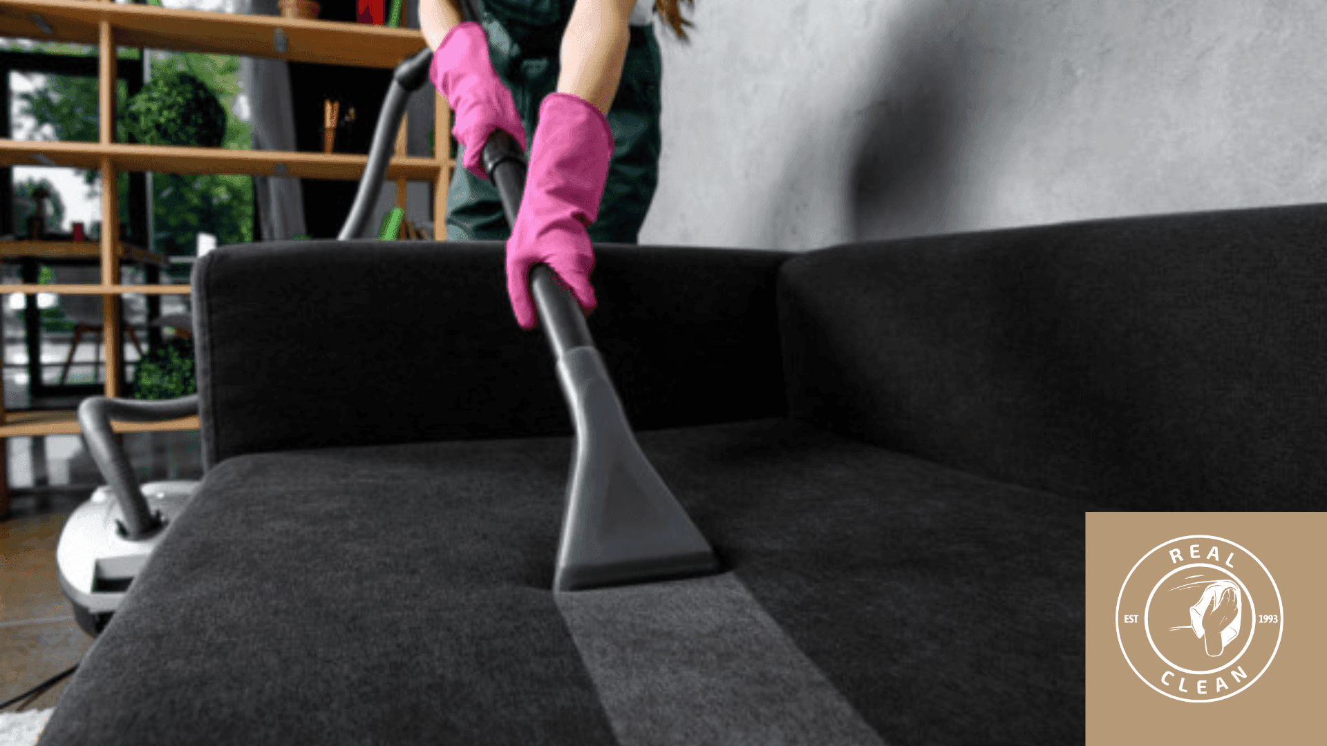 cleaning black sofa