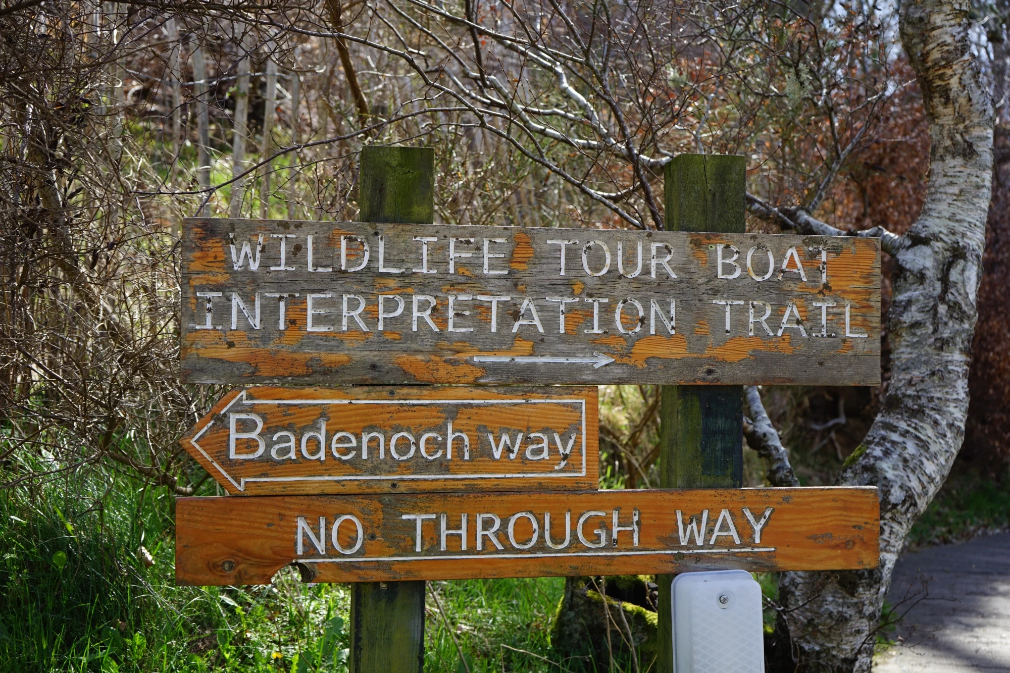 A wooden sign with arrows pointing in different directions set amongst woodland