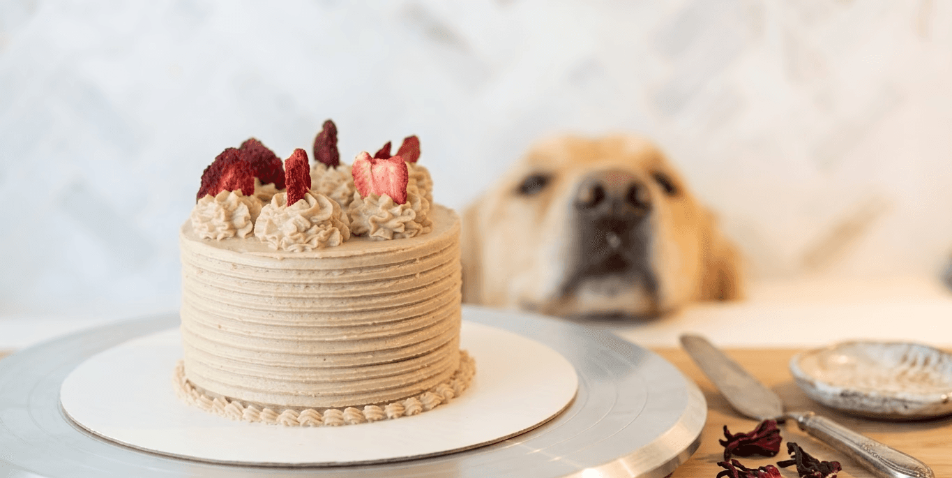 Fancy cake