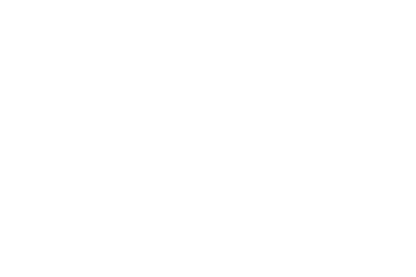 Logo for an imagined company
