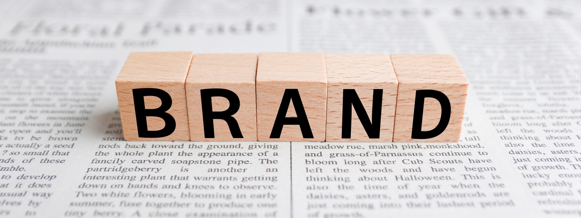 ブランドと書いた木のブロック画像