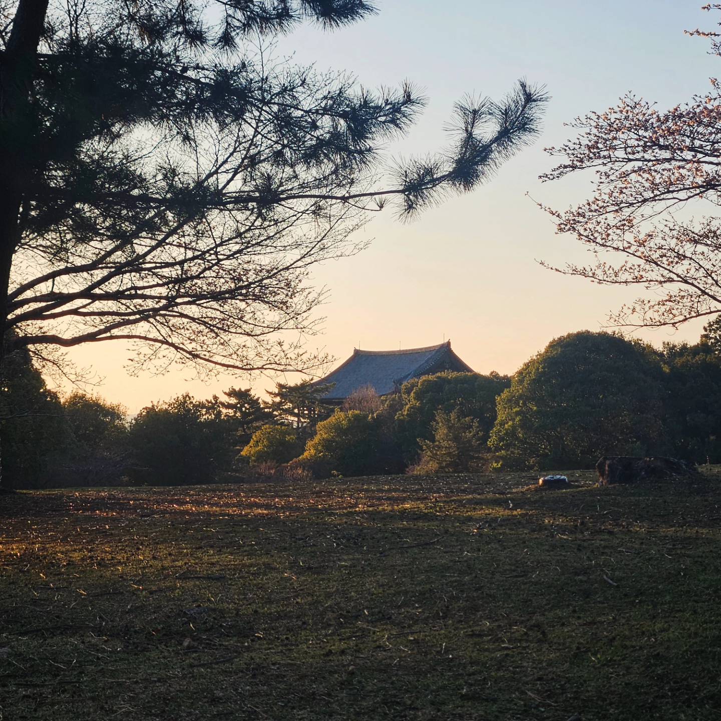 Outdoor Café Seating in a Sunlit Alley