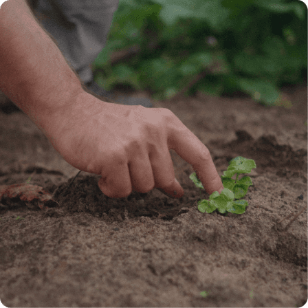 Coach explaining something to an athlete