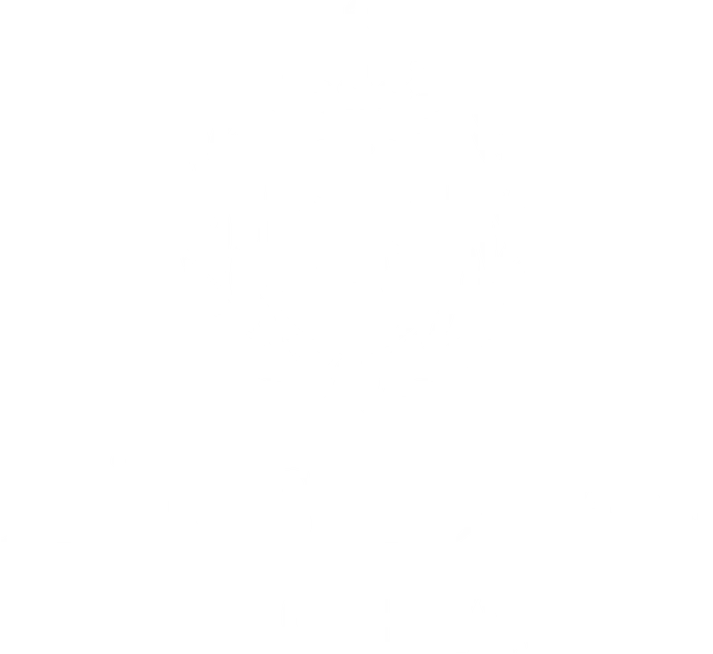 Högskolan i Borås