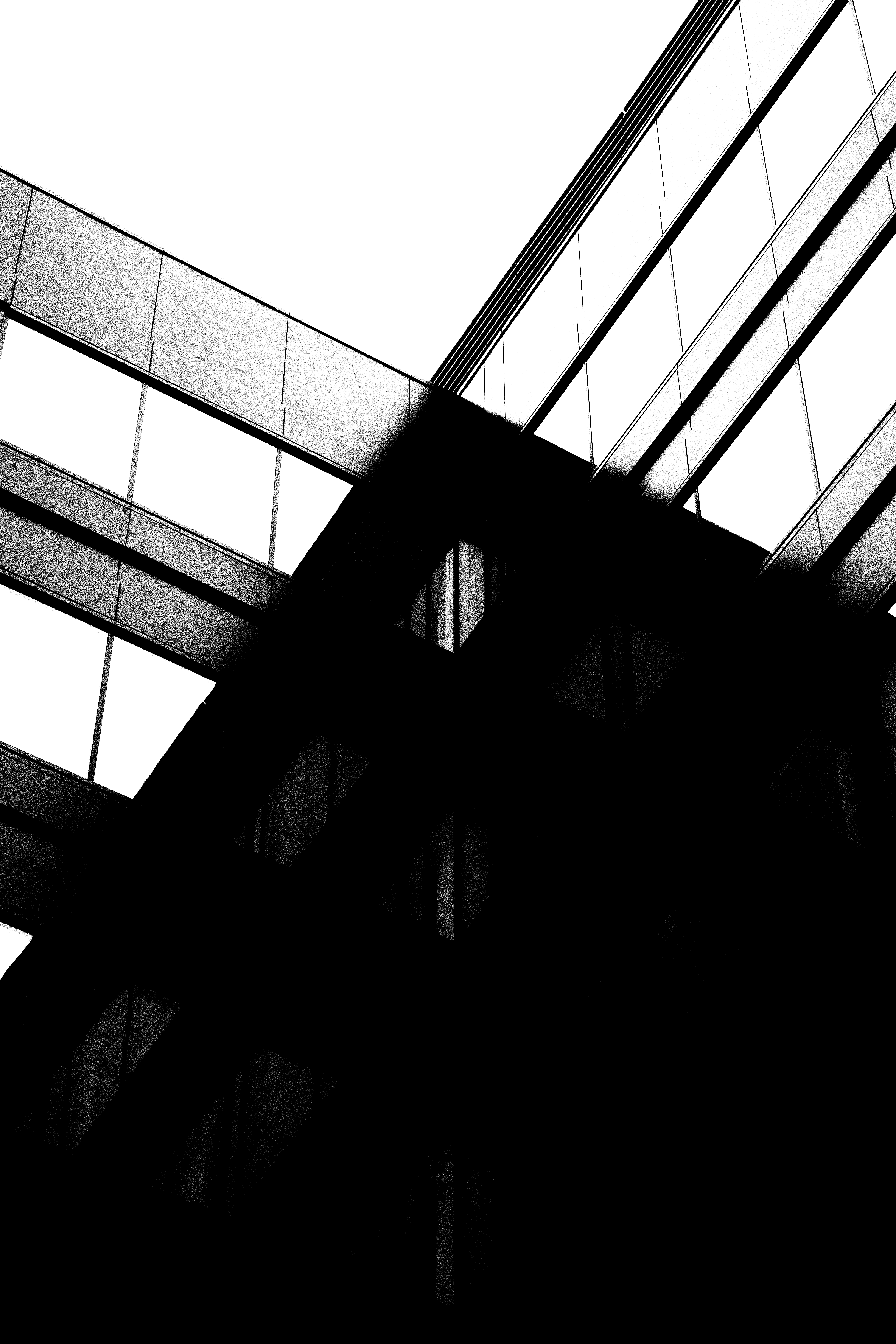 Modern architectural lines of a glass building