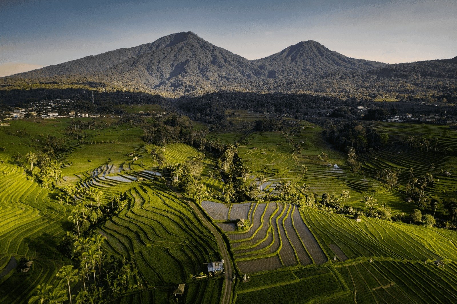 Jatiluwih Rice Terraces