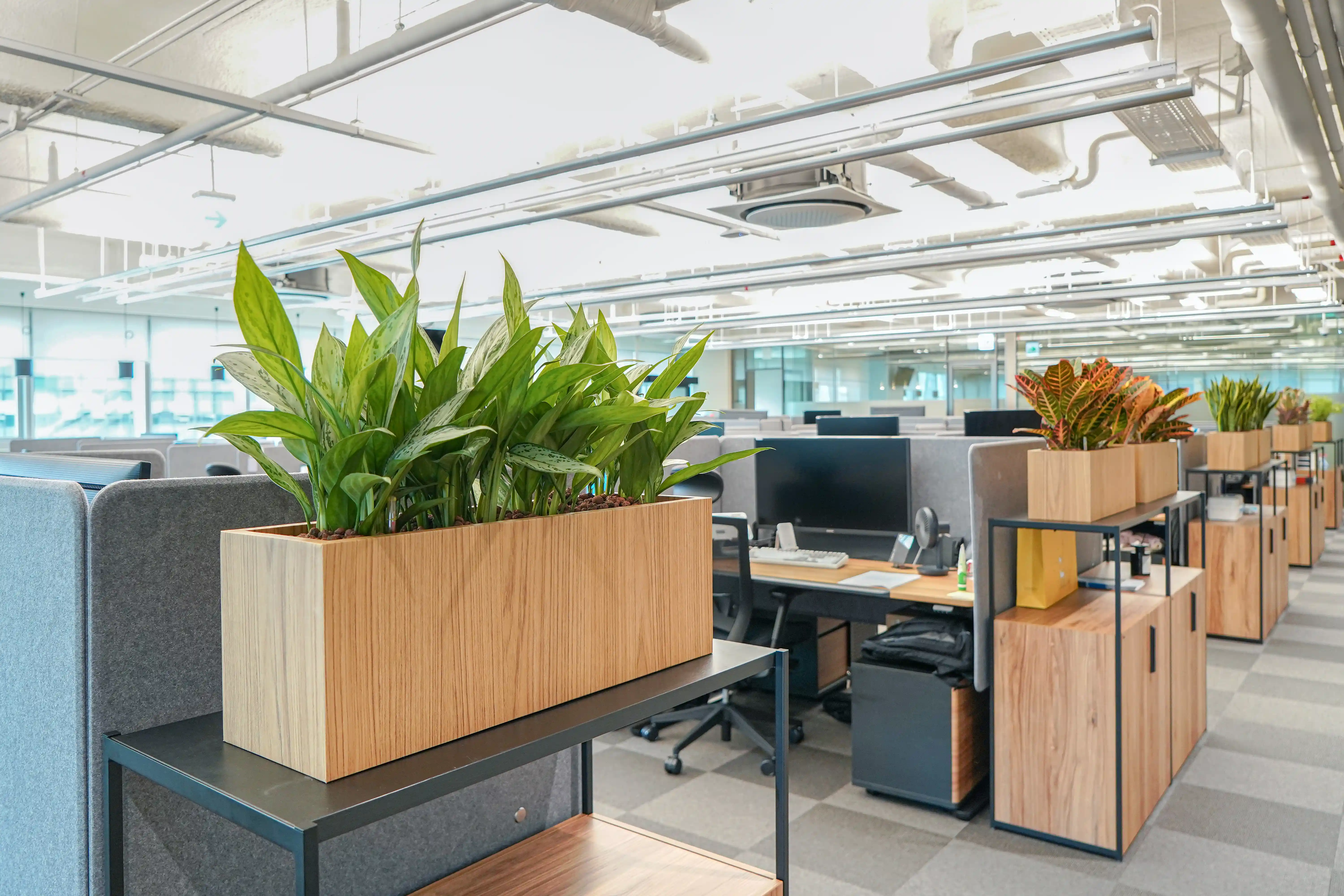 에코피플 사무실조경 사례. 플랜트박스를 활용한 플랜테리어