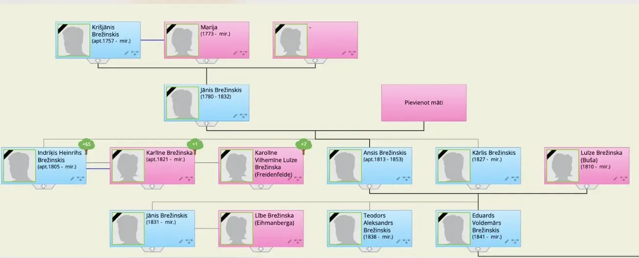 Geni.com dzimtas koka shema – klients iegūst gala rezultātu