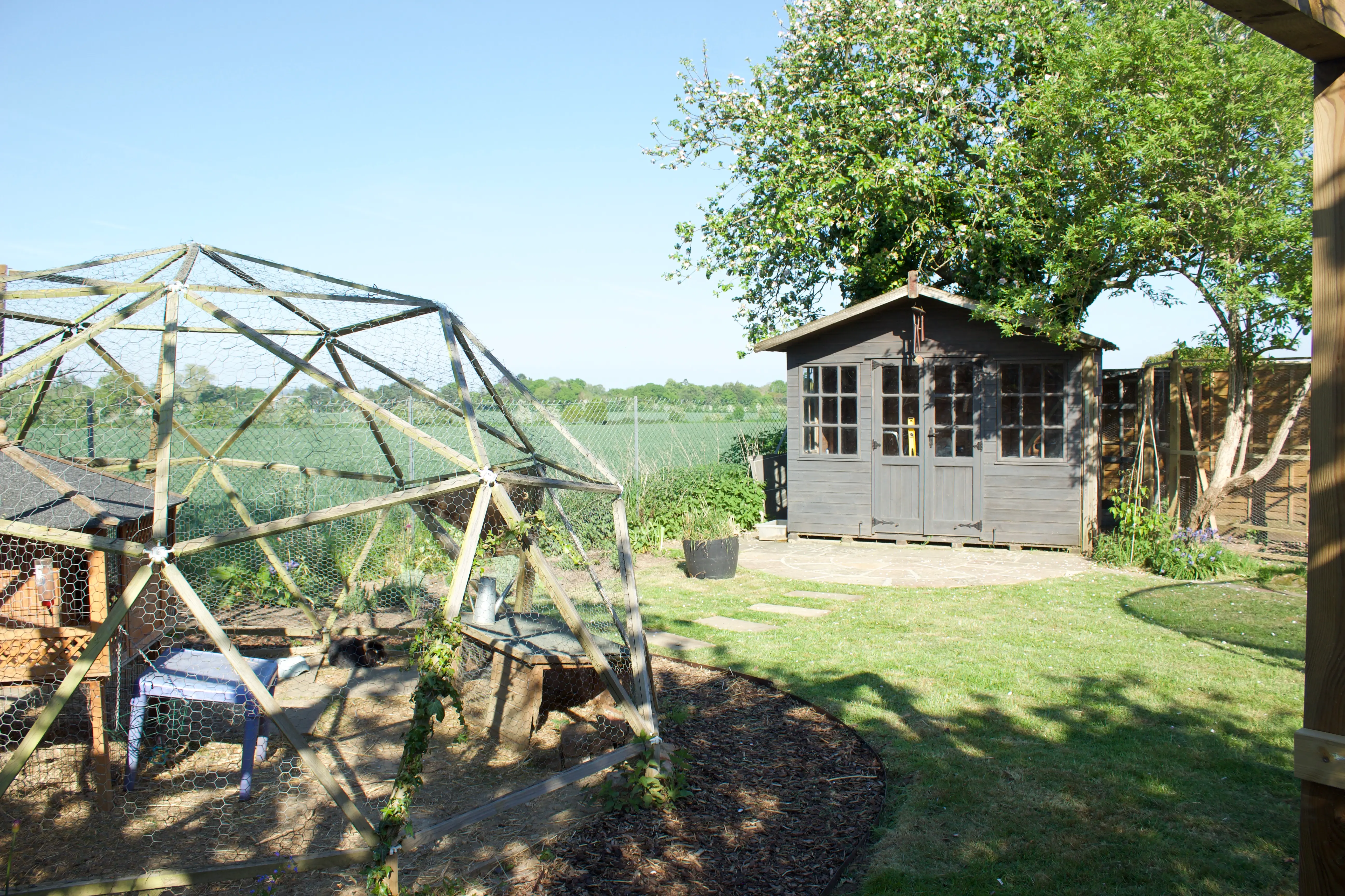 A sunny garden scene featuring a green lawn, trees, and a small black shed in the background.