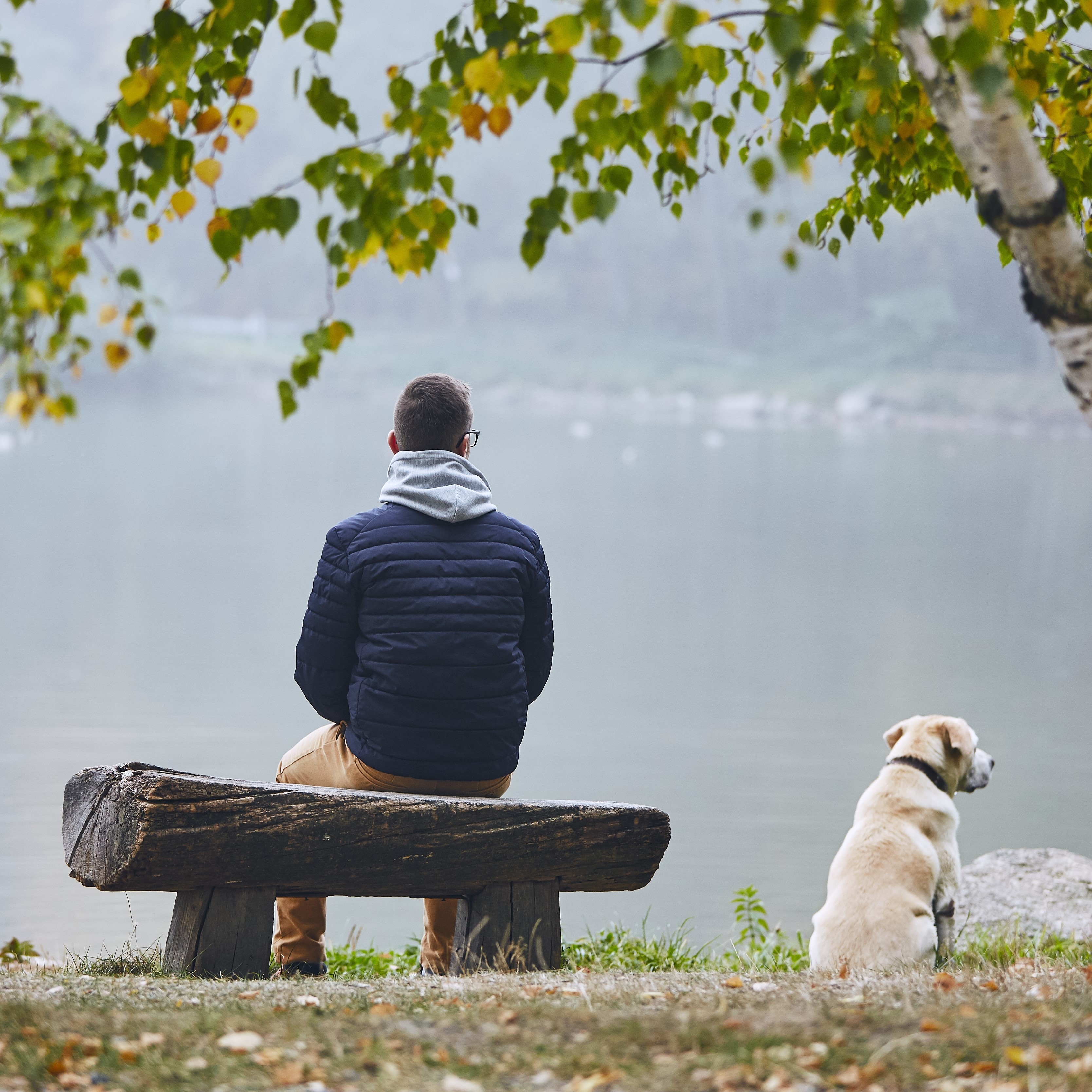 The Rare Gift of Human Life - Asking Life's Essential Questions