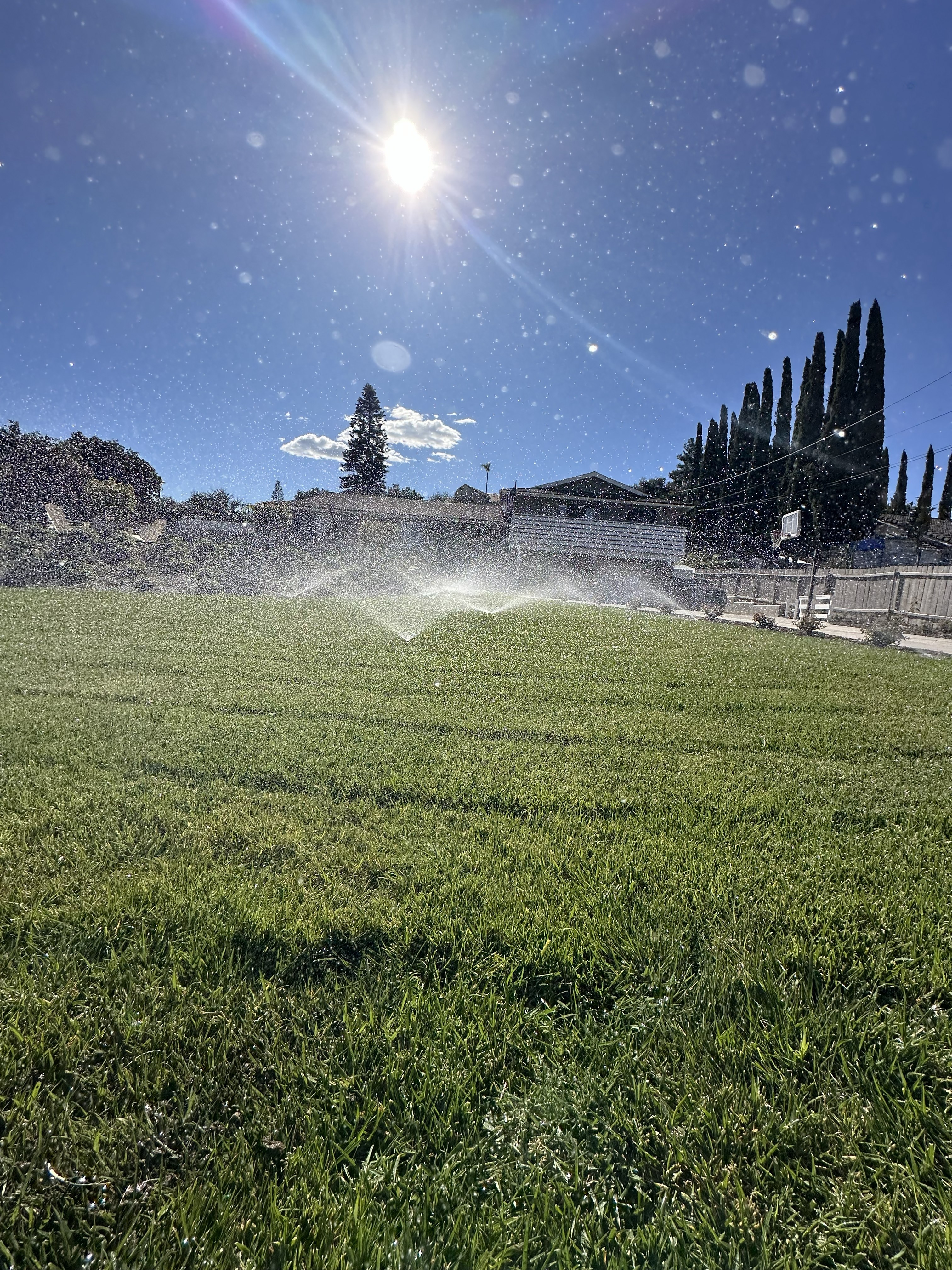 Pool Maintained By PoolGenX