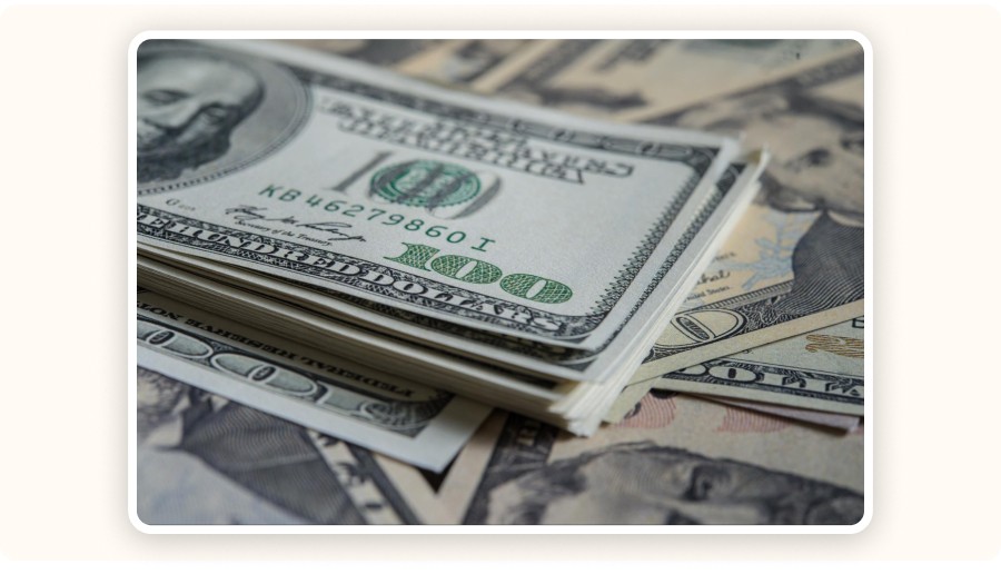 Financial Considerations: Profitability, Margins, and Pricing Strategies