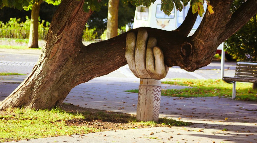 A statue holding up a tree that is growing outwards