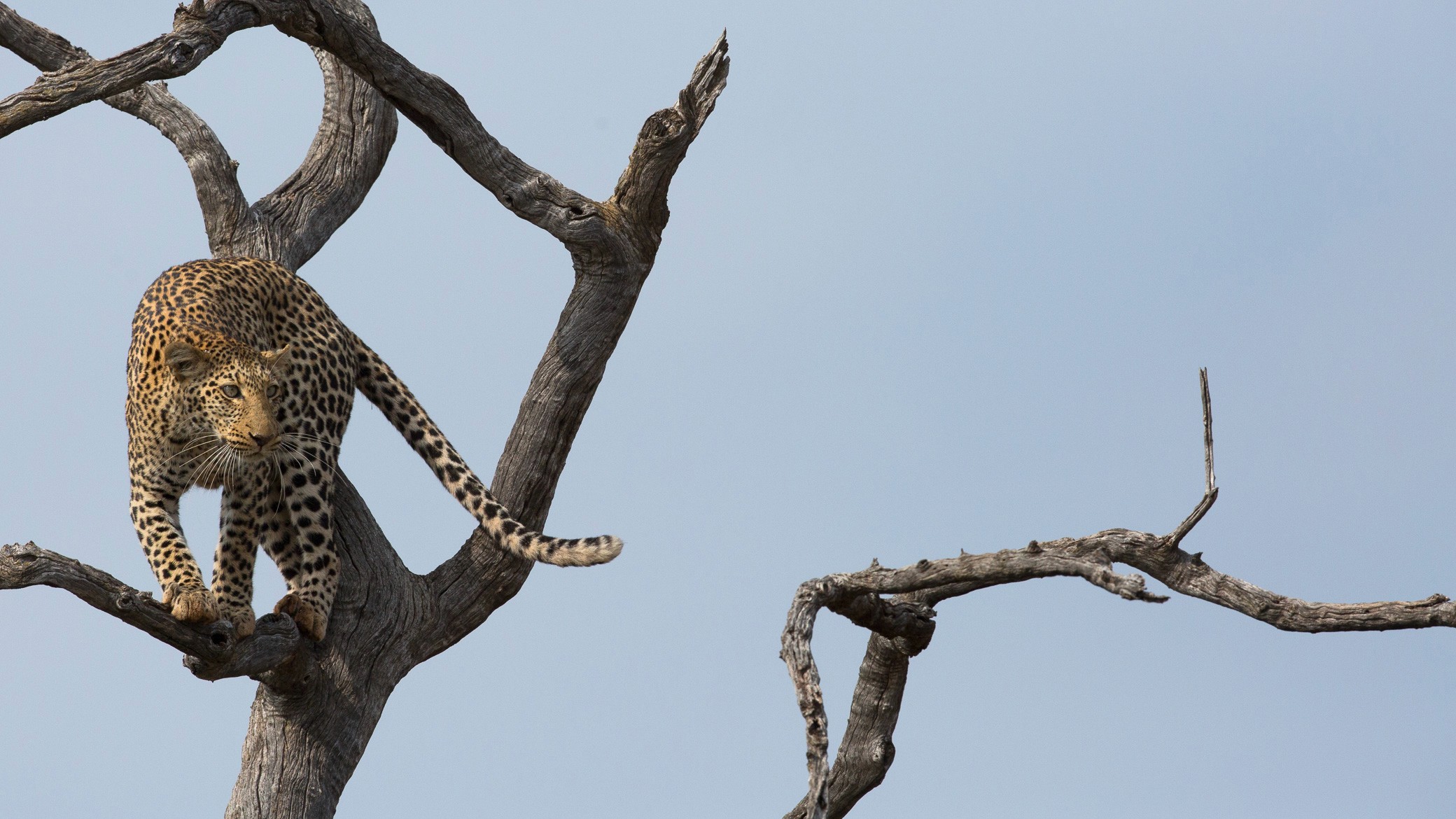 Bellevoire Reception