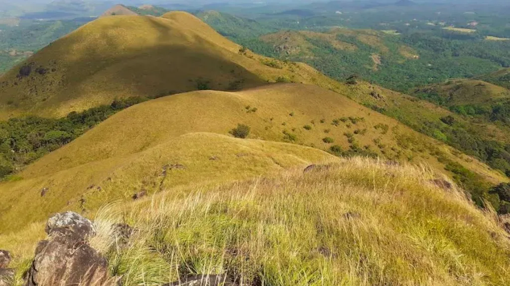 Jenukal Gudda Trek&nbsp;.webp