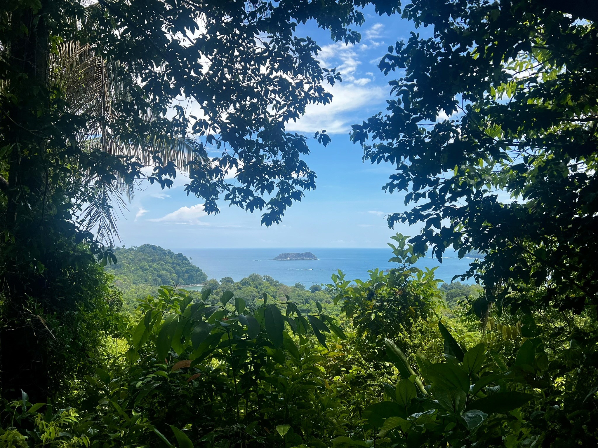 Overlook on hike in Costa Rica