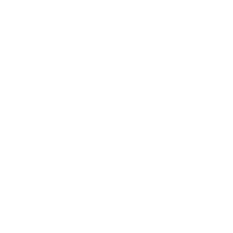 Medical record