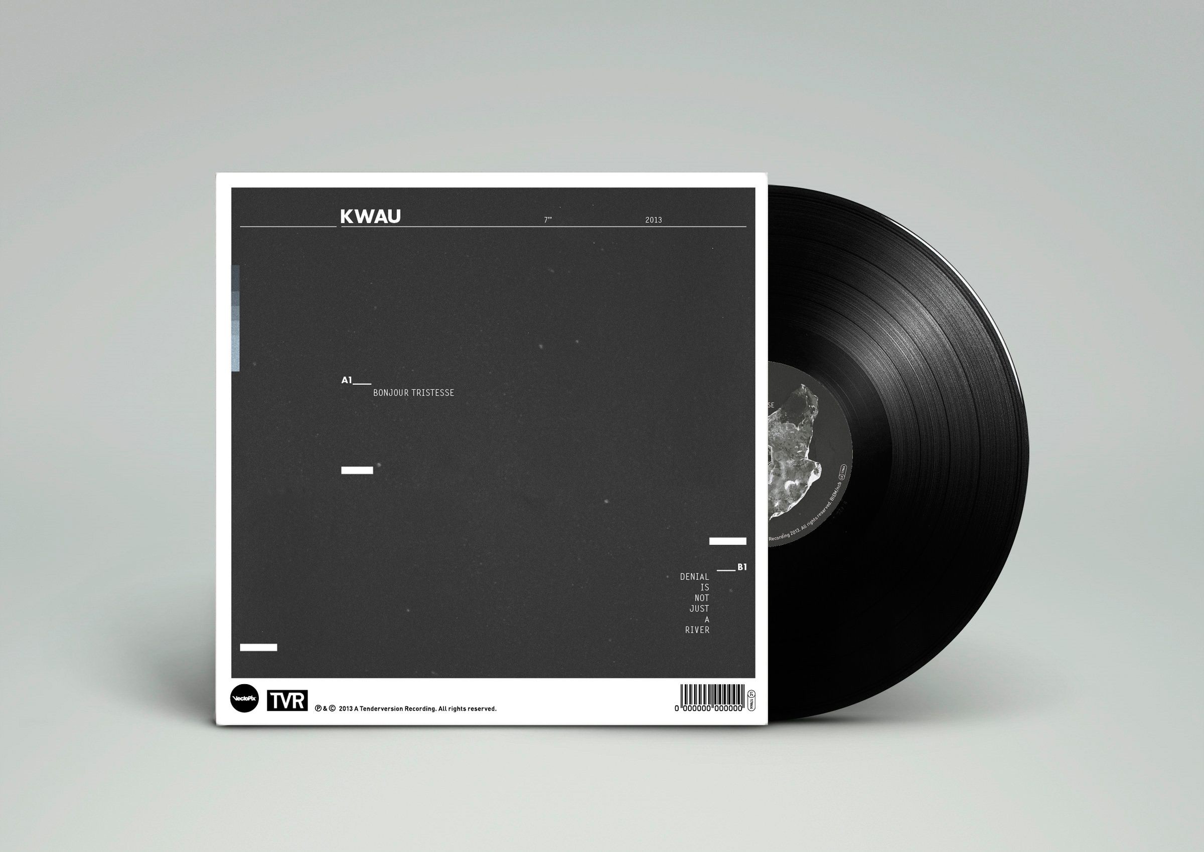 record sleave