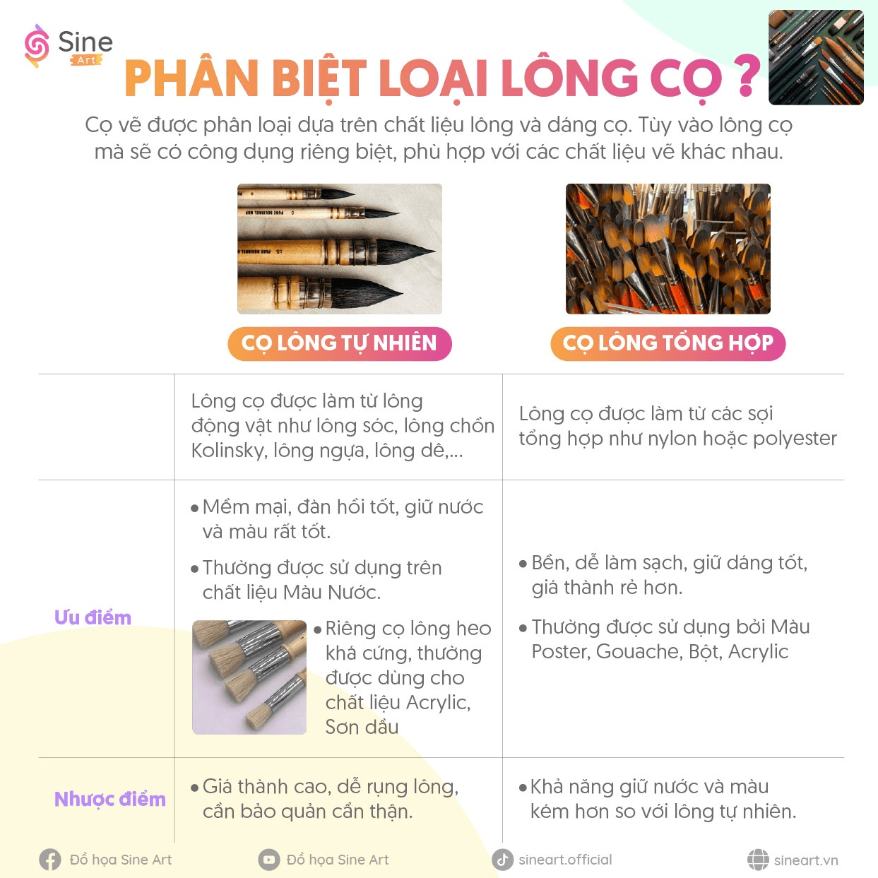 Phân biệt loại lông cọ
