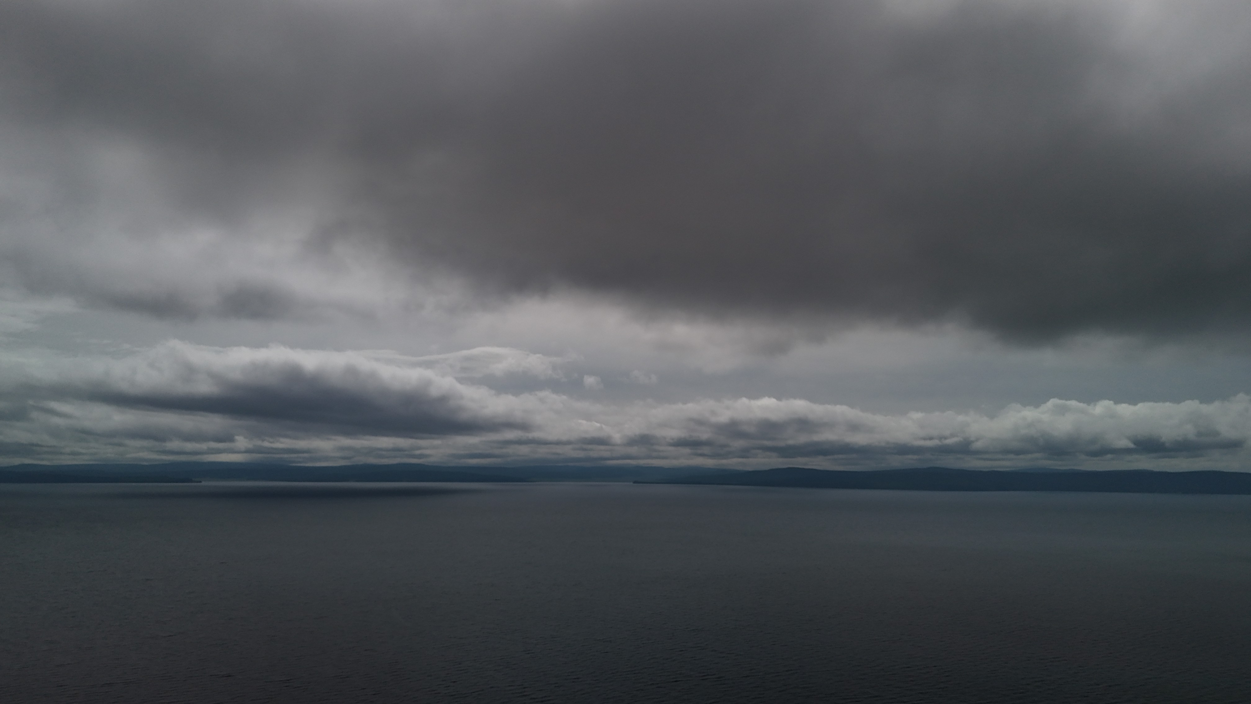 Close-up of a dark green leaf showing its textured surface and central vein against a muted background.