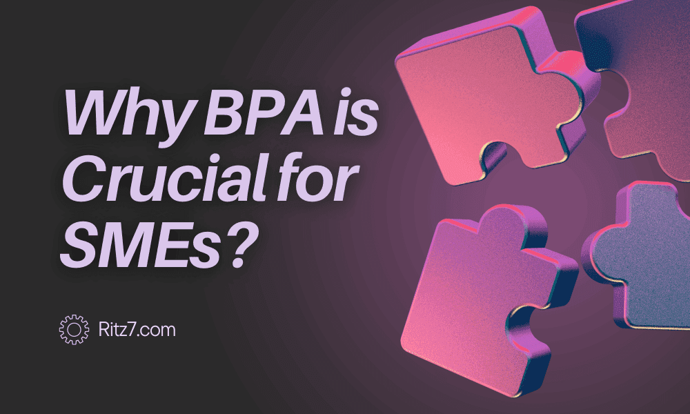 Why BPA is Crucial for SMEs? - ritz7