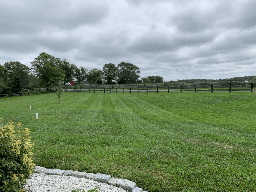 Lawn mowed in Carroll County, MD