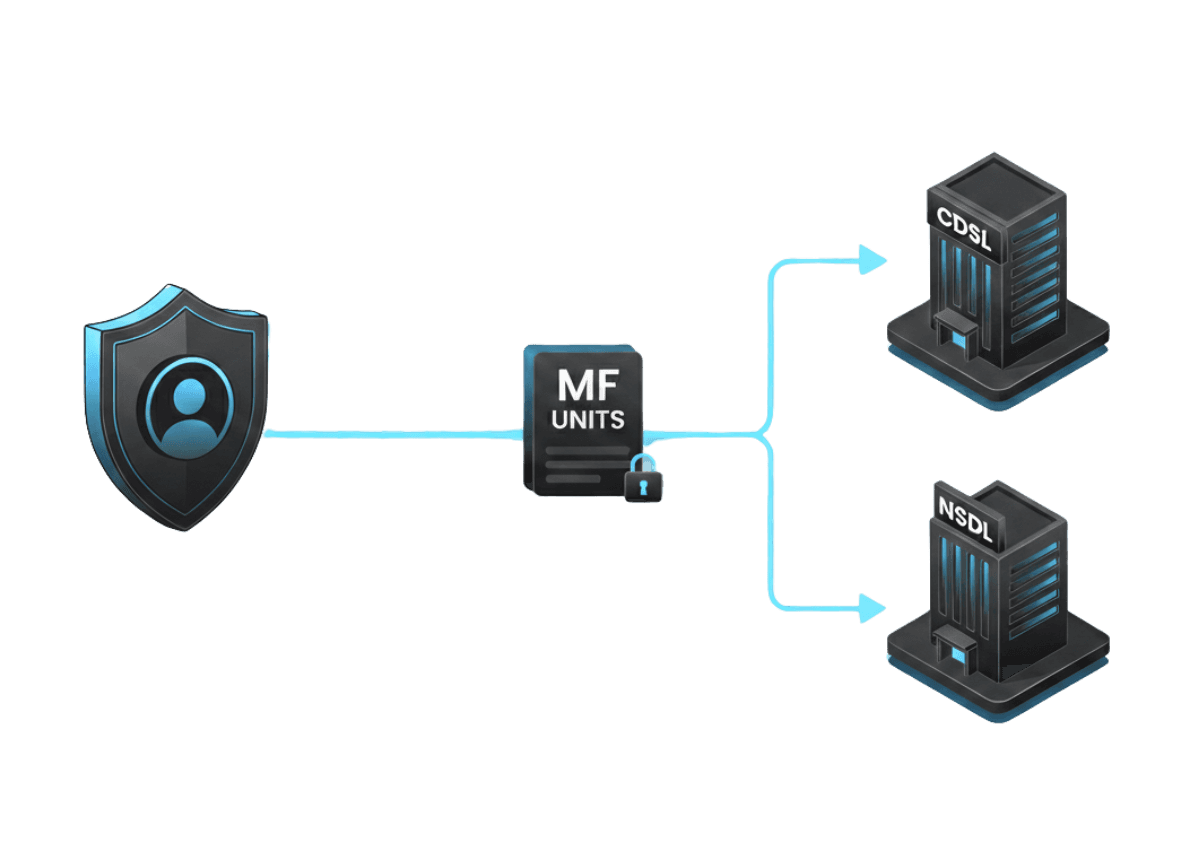you are the custodian