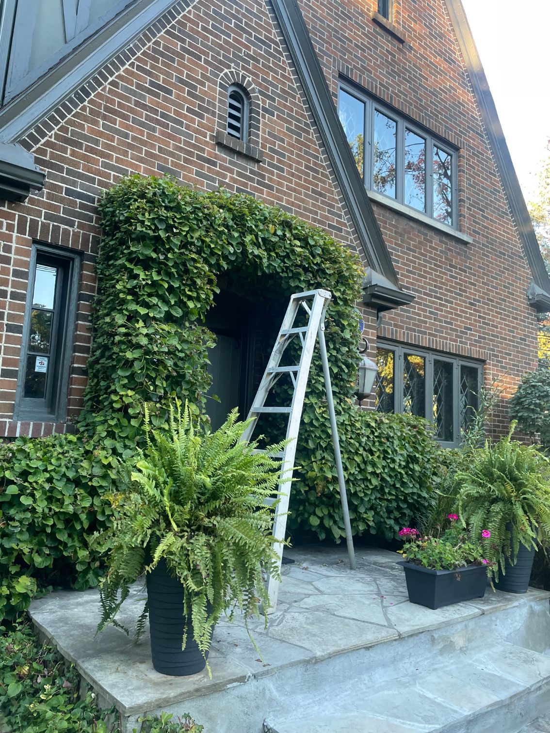 a house entrace with well maintained bushes around