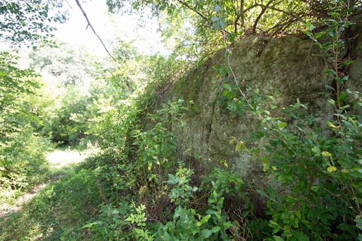 Photo 13 of 40 Acres County Hwy H, Ridgeway