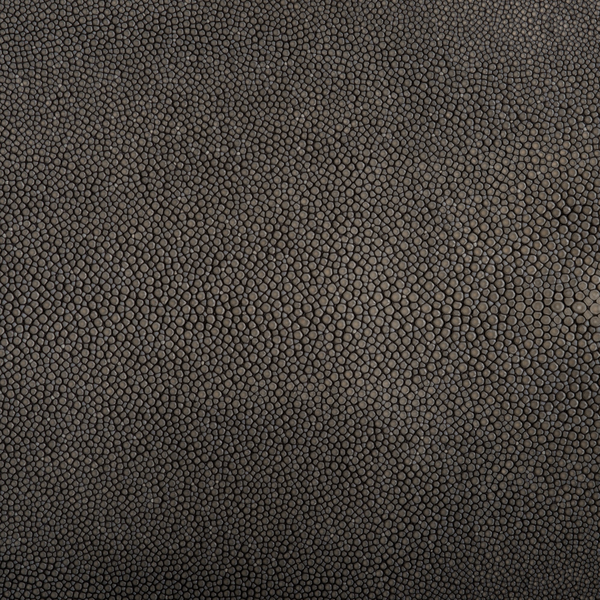 Aged leather background with a stitched border and brass studs