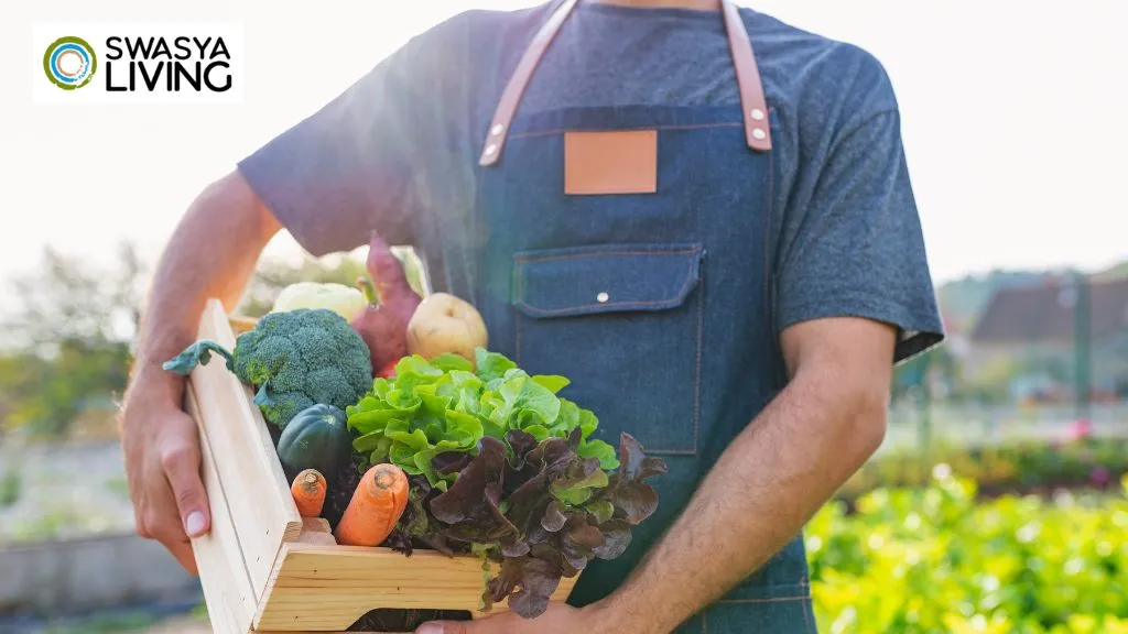 Best Organic Food Distributors in Bangalore