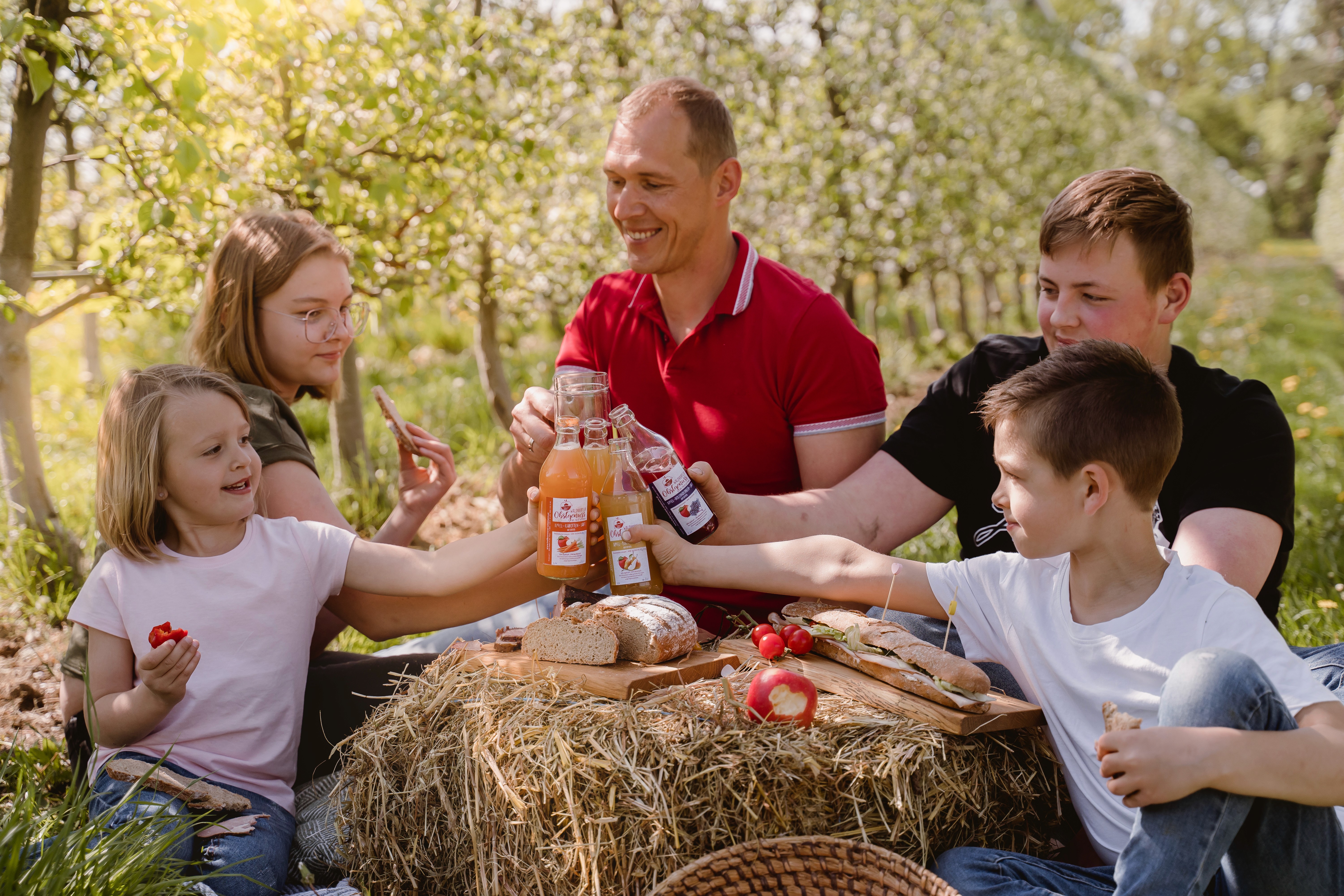 Close-up of agave plant leaves